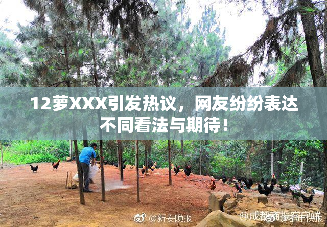 12萝XXX引发热议，网友纷纷表达不同看法与期待！