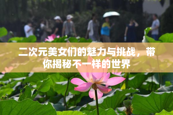二次元美女们的魅力与挑战，带你揭秘不一样的世界