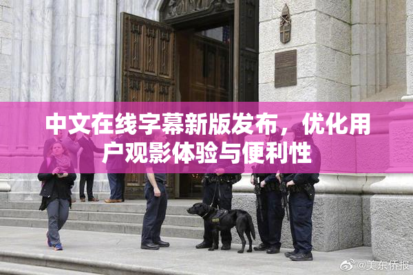 中文在线字幕新版发布，优化用户观影体验与便利性
