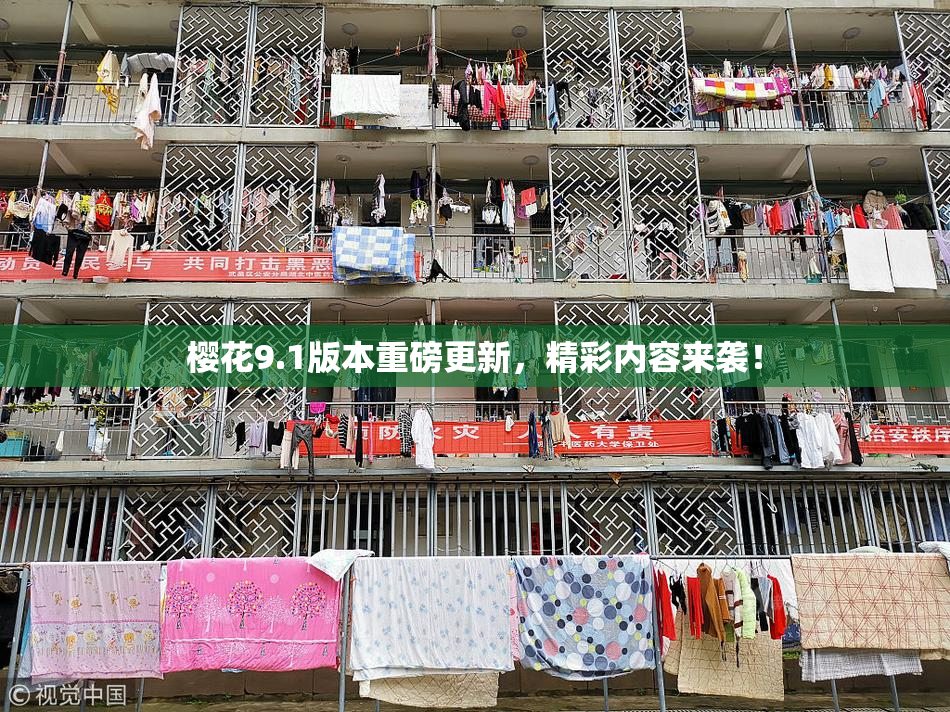 樱花9.1版本重磅更新，精彩内容来袭！