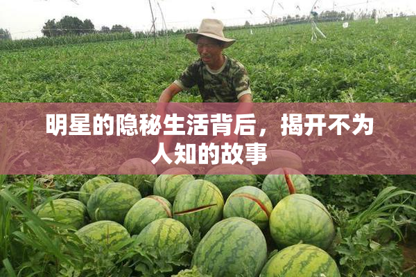 明星的隐秘生活背后，揭开不为人知的故事