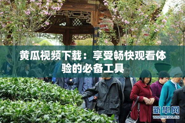 黄瓜视频下载：享受畅快观看体验的必备工具