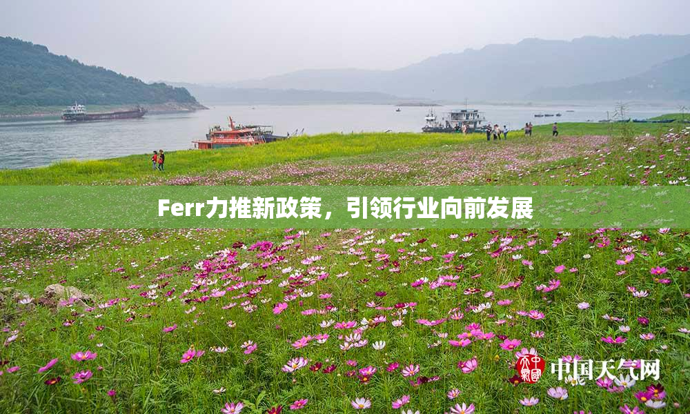 Ferr力推新政策，引领行业向前发展