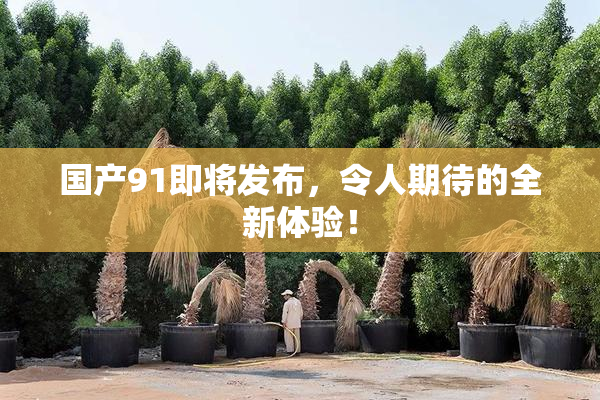 国产91即将发布，令人期待的全新体验！