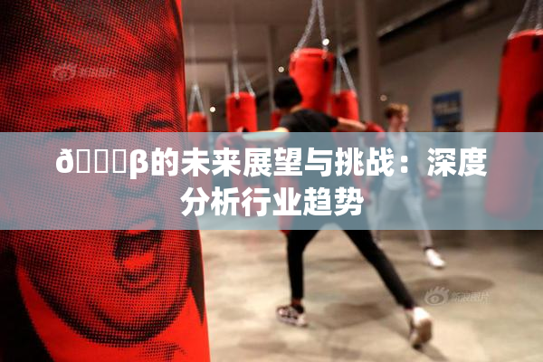 🔞β的未来展望与挑战：深度分析行业趋势