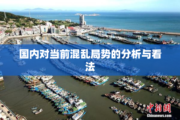 国内对当前混乱局势的分析与看法
