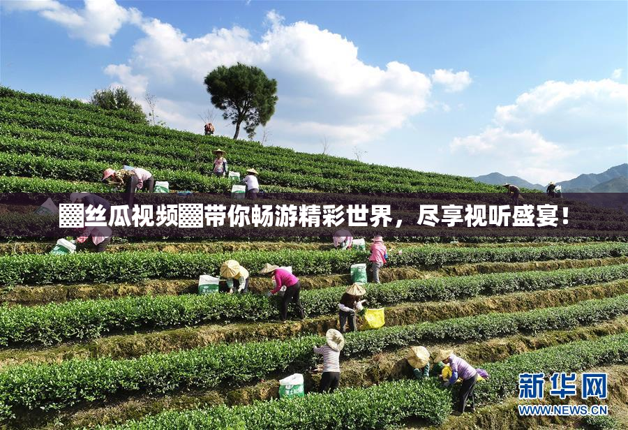 ▓丝瓜视频▓带你畅游精彩世界，尽享视听盛宴！