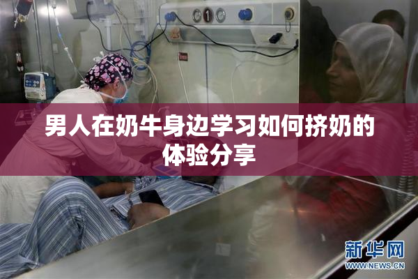 男人在奶牛身边学习如何挤奶的体验分享