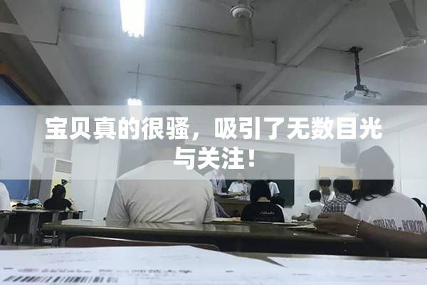 宝贝真的很骚，吸引了无数目光与关注！