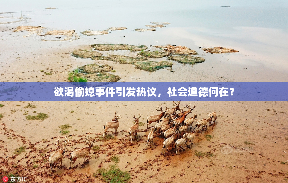 欲渴偷媳事件引发热议，社会道德何在？
