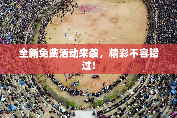 全新免费活动来袭，精彩不容错过！