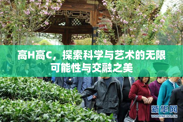 高H高C，探索科学与艺术的无限可能性与交融之美