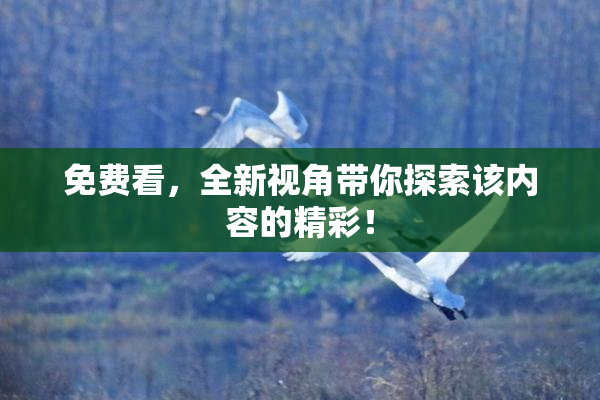 免费看，全新视角带你探索该内容的精彩！