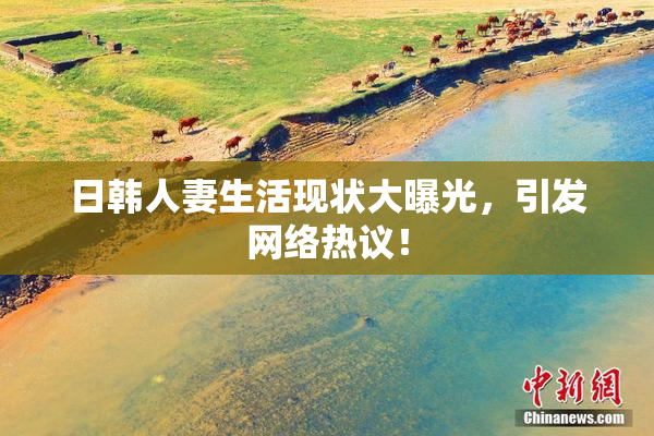 日韩人妻生活现状大曝光，引发网络热议！