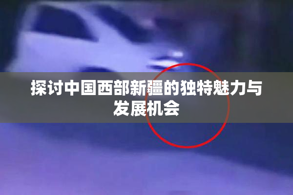 探讨中国西部新疆的独特魅力与发展机会