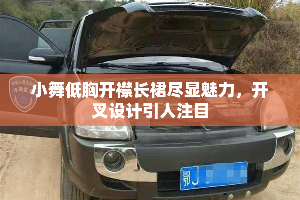 小舞低胸开襟长裙尽显魅力，开叉设计引人注目