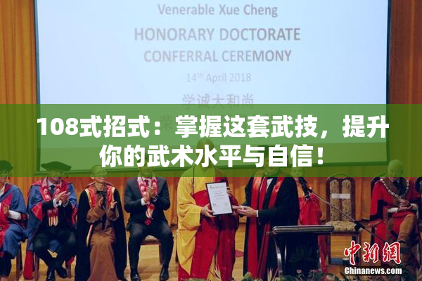 108式招式：掌握这套武技，提升你的武术水平与自信！