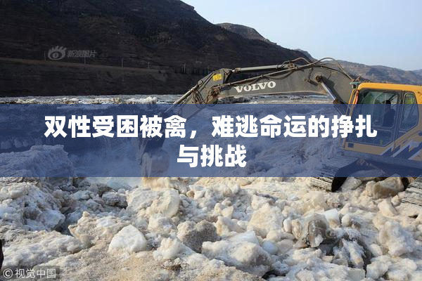 双性受困被禽，难逃命运的挣扎与挑战