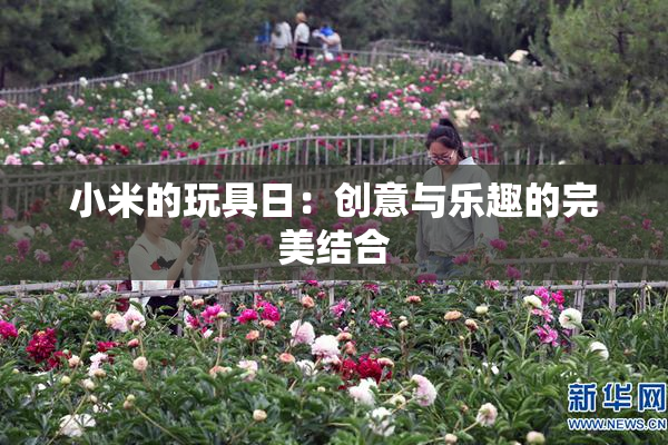 小米的玩具日：创意与乐趣的完美结合