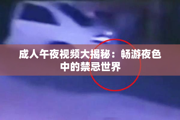 成人午夜视频大揭秘：畅游夜色中的禁忌世界