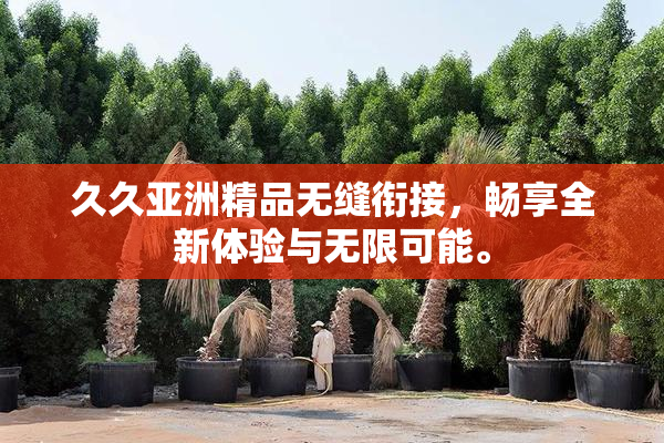 久久亚洲精品无缝衔接，畅享全新体验与无限可能。