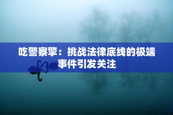 吃警察擎：挑战法律底线的极端事件引发关注
