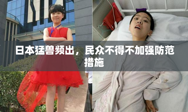 日本猛兽频出，民众不得不加强防范措施