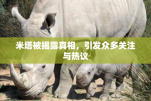 米塔被揭露真相，引发众多关注与热议