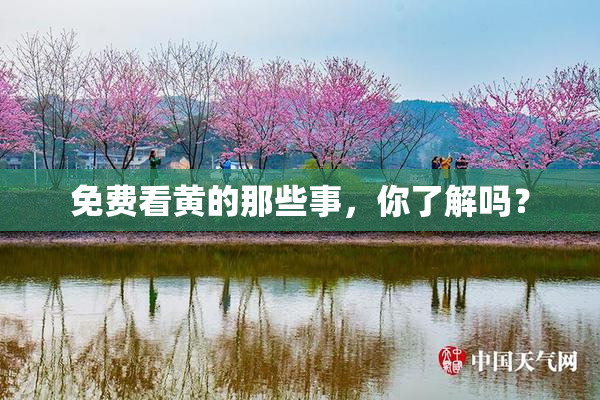 免费看黄的那些事，你了解吗？