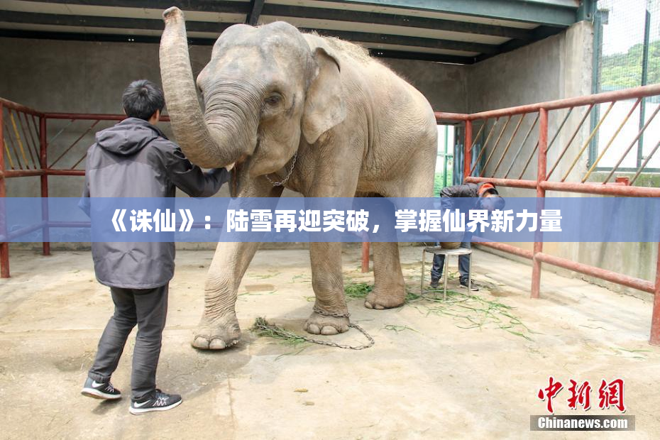 《诛仙》：陆雪再迎突破，掌握仙界新力量