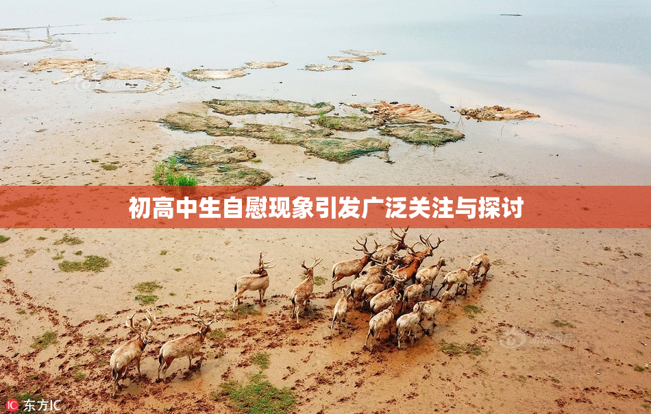 初高中生自慰现象引发广泛关注与探讨