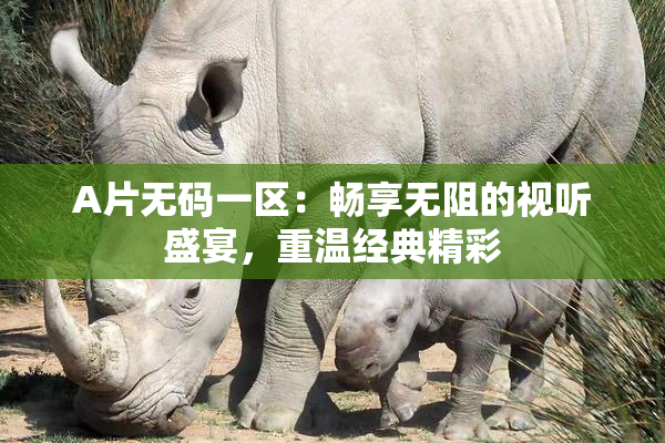 A片无码一区：畅享无阻的视听盛宴，重温经典精彩