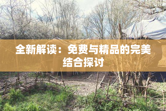 全新解读：免费与精品的完美结合探讨