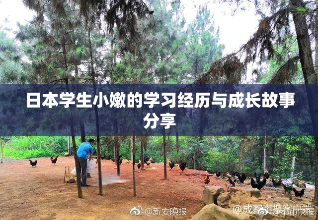 日本学生小嫩的学习经历与成长故事分享