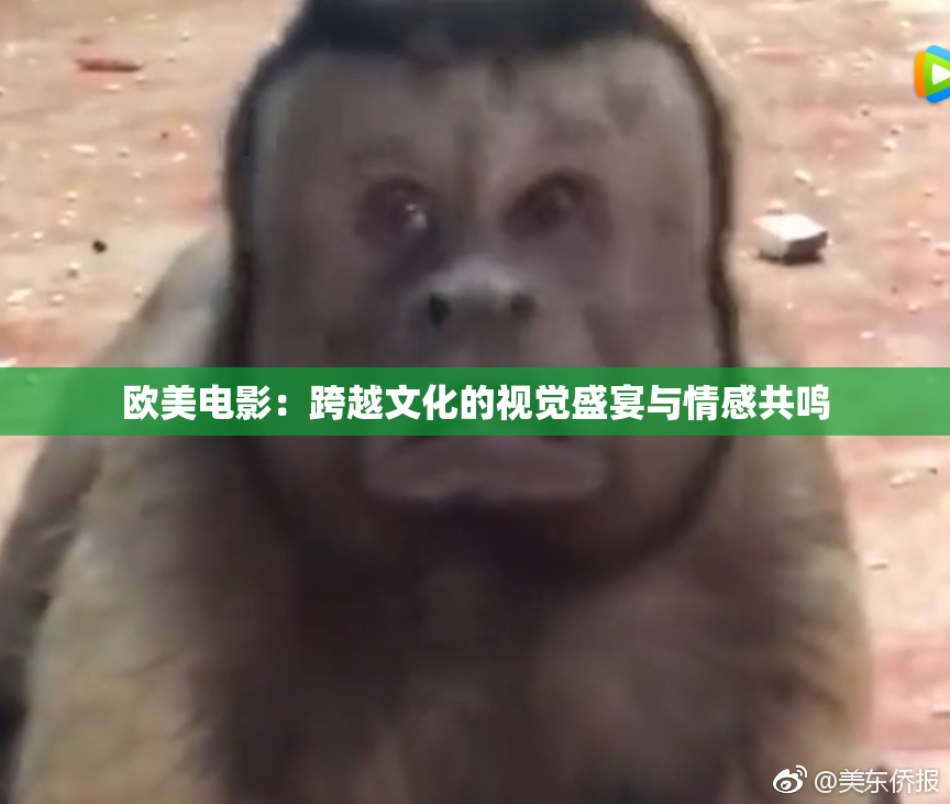 欧美电影：跨越文化的视觉盛宴与情感共鸣