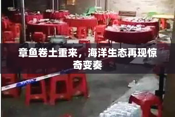 章鱼卷土重来，海洋生态再现惊奇变奏