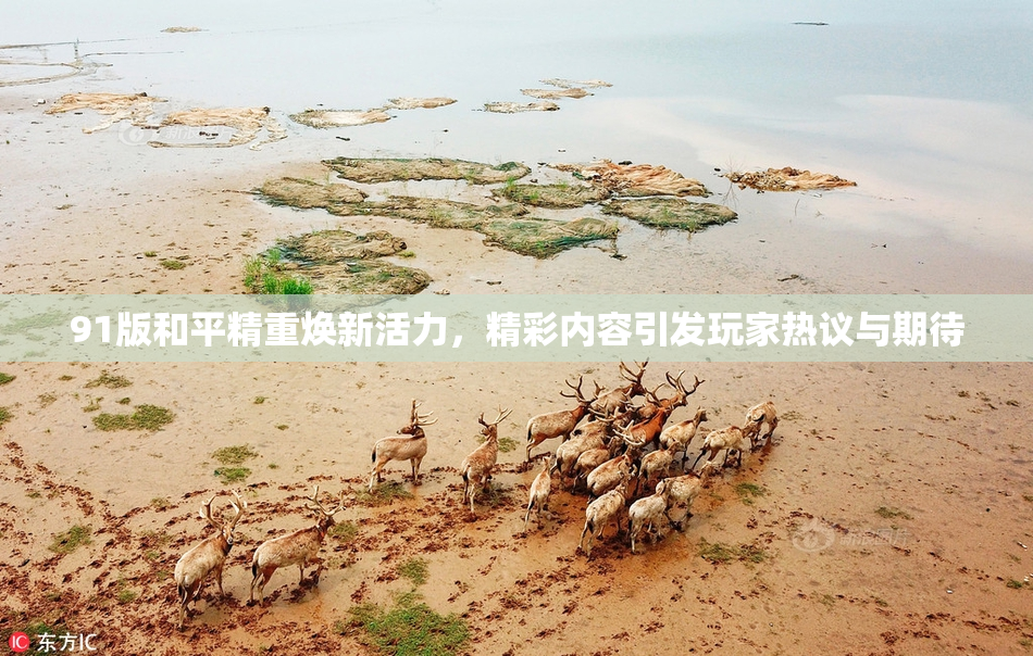 91版和平精重焕新活力，精彩内容引发玩家热议与期待