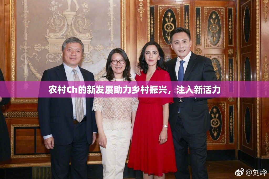 农村Ch的新发展助力乡村振兴，注入新活力