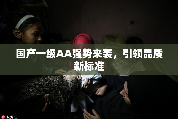 国产一级AA强势来袭，引领品质新标准
