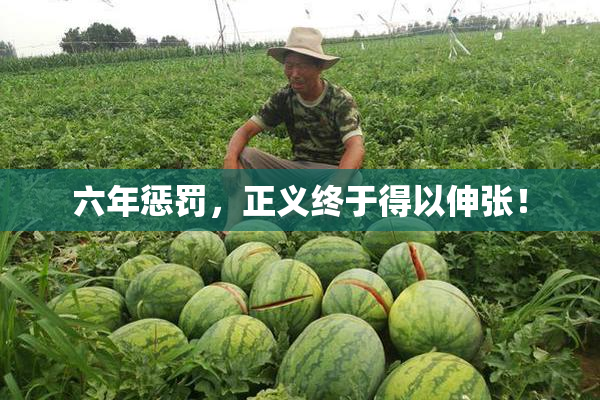 六年惩罚，正义终于得以伸张！