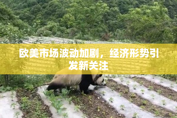 欧美市场波动加剧，经济形势引发新关注