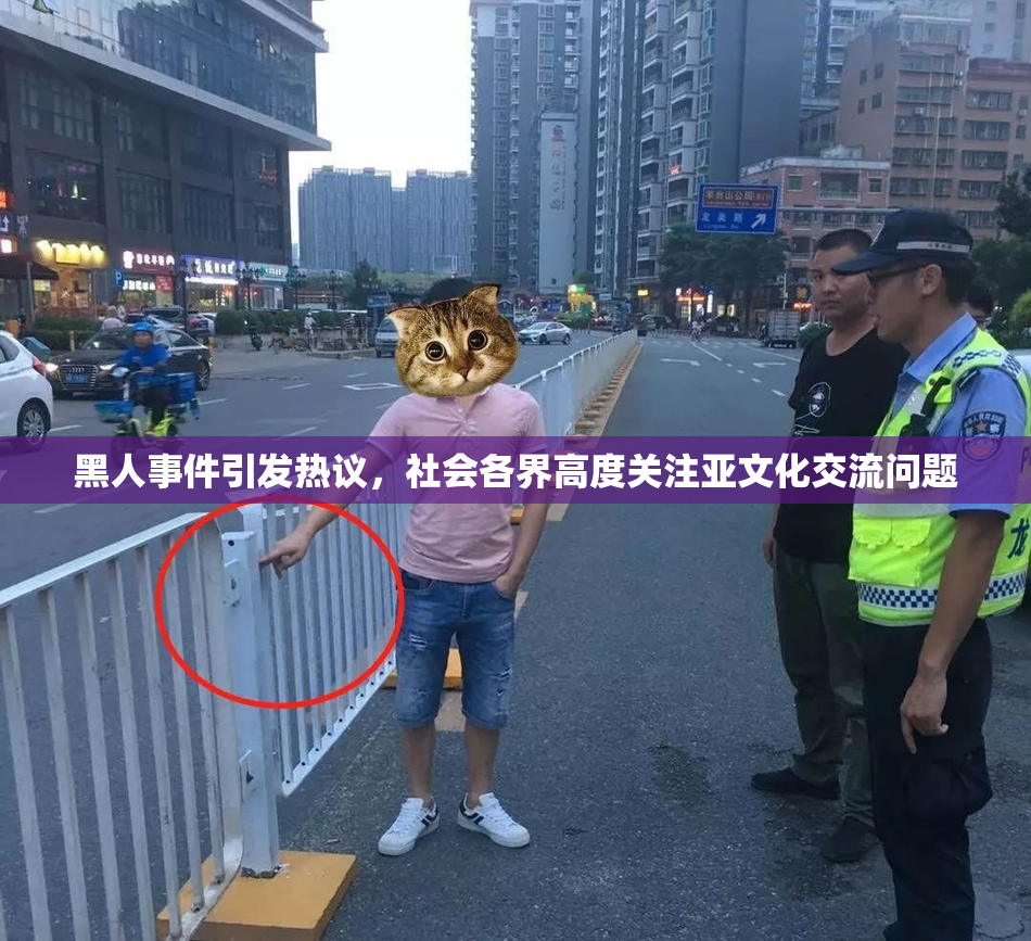 黑人事件引发热议，社会各界高度关注亚文化交流问题