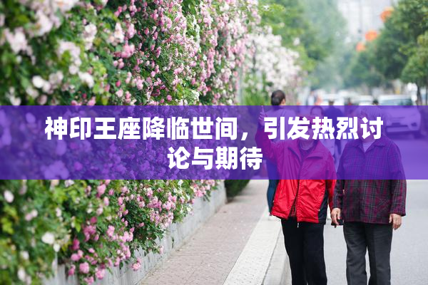 神印王座降临世间，引发热烈讨论与期待