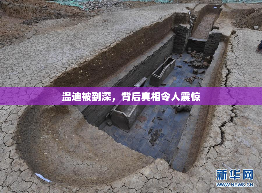 温迪被到深，背后真相令人震惊