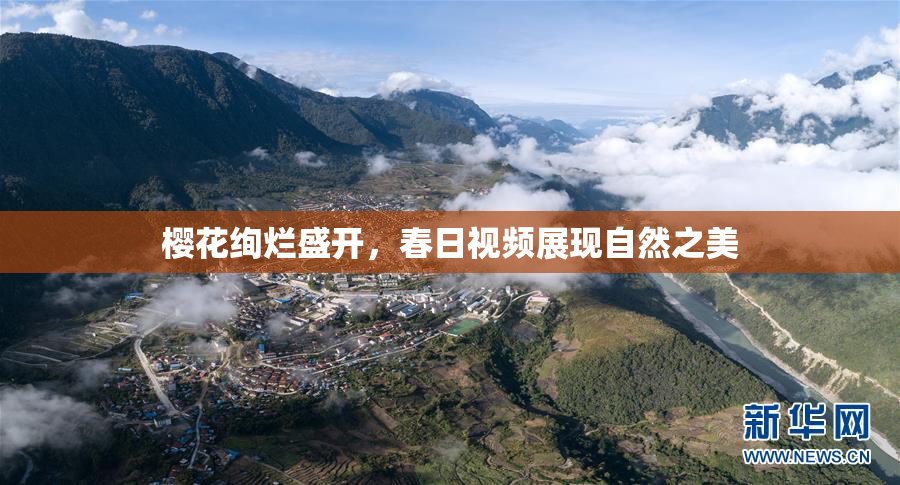 樱花绚烂盛开，春日视频展现自然之美
