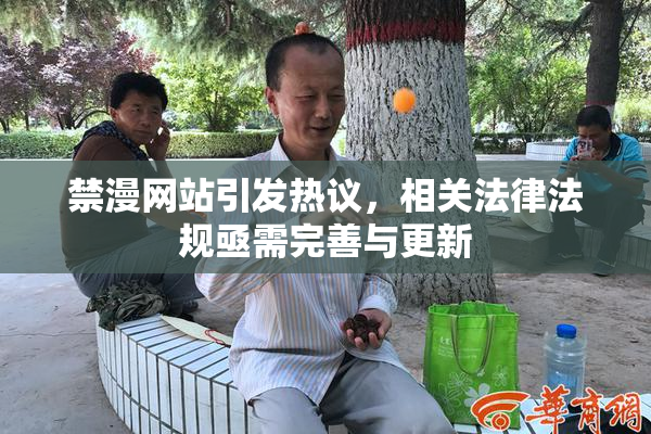 禁漫网站引发热议，相关法律法规亟需完善与更新