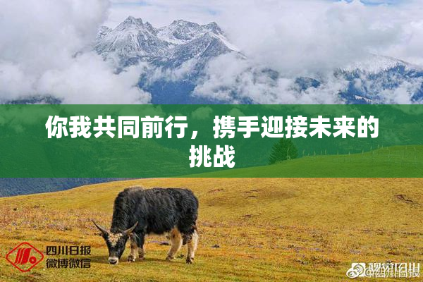 你我共同前行，携手迎接未来的挑战