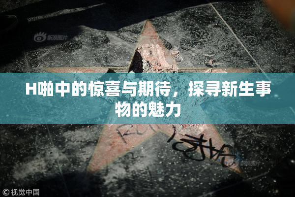 H啪中的惊喜与期待，探寻新生事物的魅力