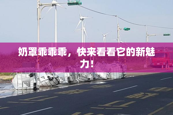 奶罩乖乖乖，快来看看它的新魅力！