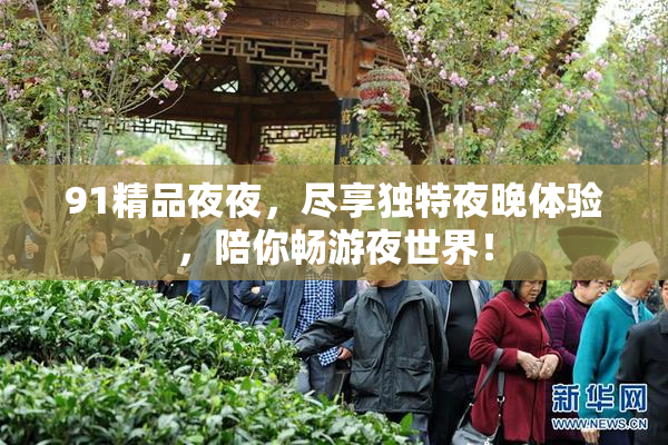91精品夜夜，尽享独特夜晚体验，陪你畅游夜世界！